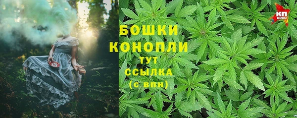 круглые Осинники