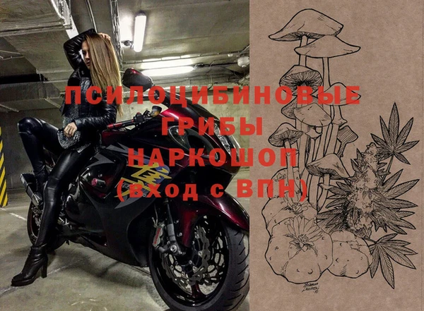 круглые Осинники