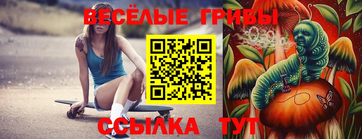 Галлюциногенные грибы мухоморы Югорск