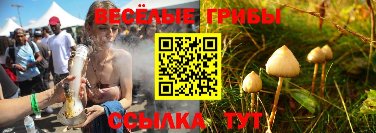 Югорск  Псилоцибиновые грибы Psilocybine cubensis  Вход с VPN  Галлюциногенные грибы ЛСД 